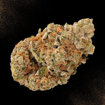 Nepali Pink